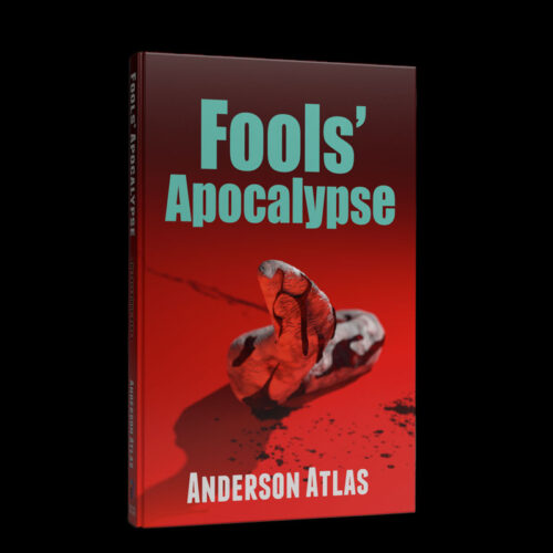 fools apocalypse book cover